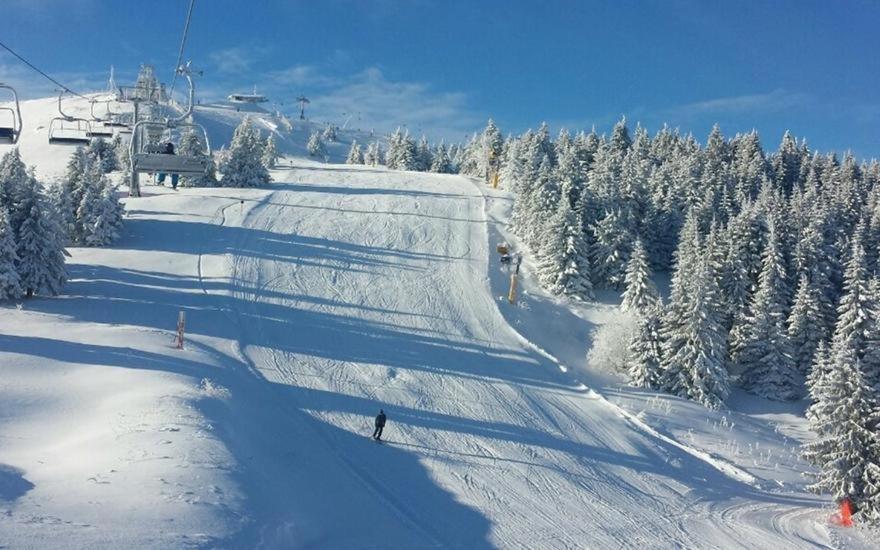 Apartment Snow Garden Kopaonik Exteriör bild